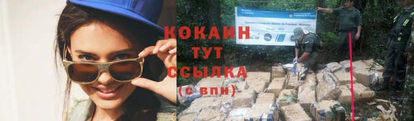 ПСИЛОЦИБИНОВЫЕ ГРИБЫ Верхний Тагил